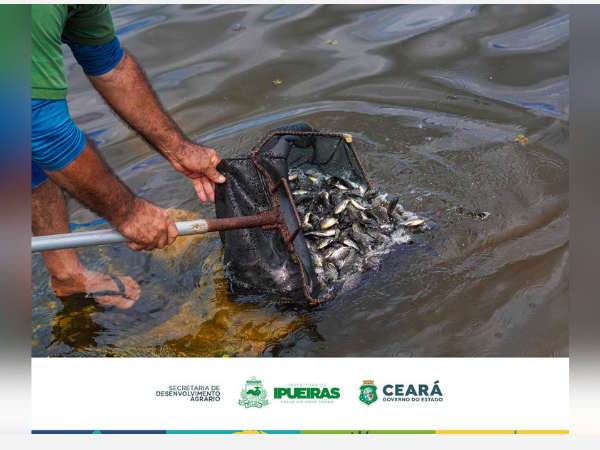 PREFEITURA DE IPUEIRAS REALIZA O PEIXAMENTO